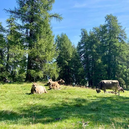 Alp Es-cha Dadour Bed & Breakfast 3*