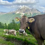 Alp Es-cha Dadour Bed & Breakfast Madulain